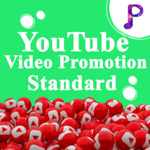 Youtube Video Promotion Standard